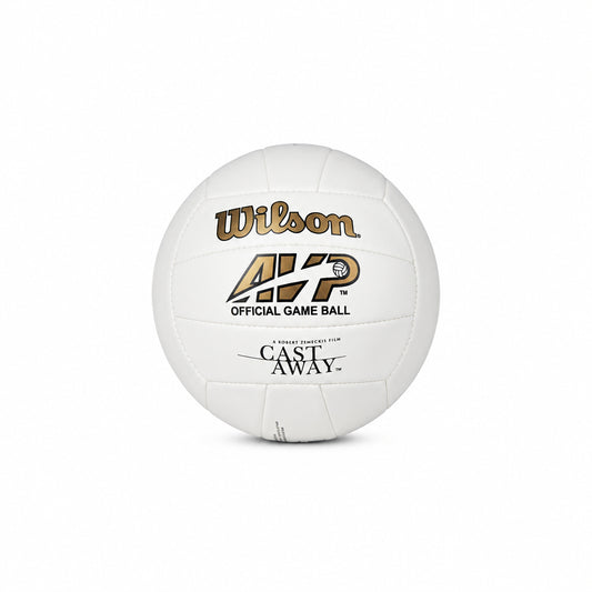 WILSON MR Castaway Volleyball