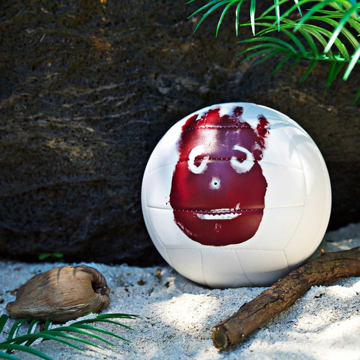 WILSON MR Castaway Volleyball
