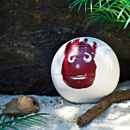 WILSON MR Castaway Volleyball